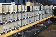 Vogelkmarkt-Vogelweelde-maart2022-sel-1