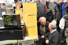 Vogelkmarkt-Vogelweelde-maart2022-sel-13-