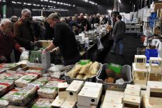 Vogelkmarkt-Vogelweelde-maart2022-sel-15