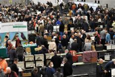 Vogelkmarkt-Vogelweelde-maart2022-sel-19-Groot