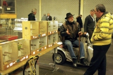 vogelmarkt-013