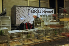 vogelmarkt-014